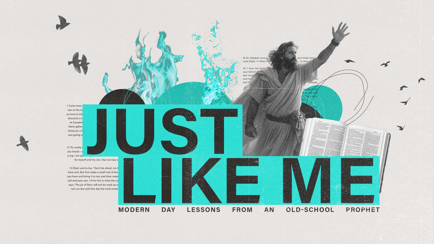 Just Like Me