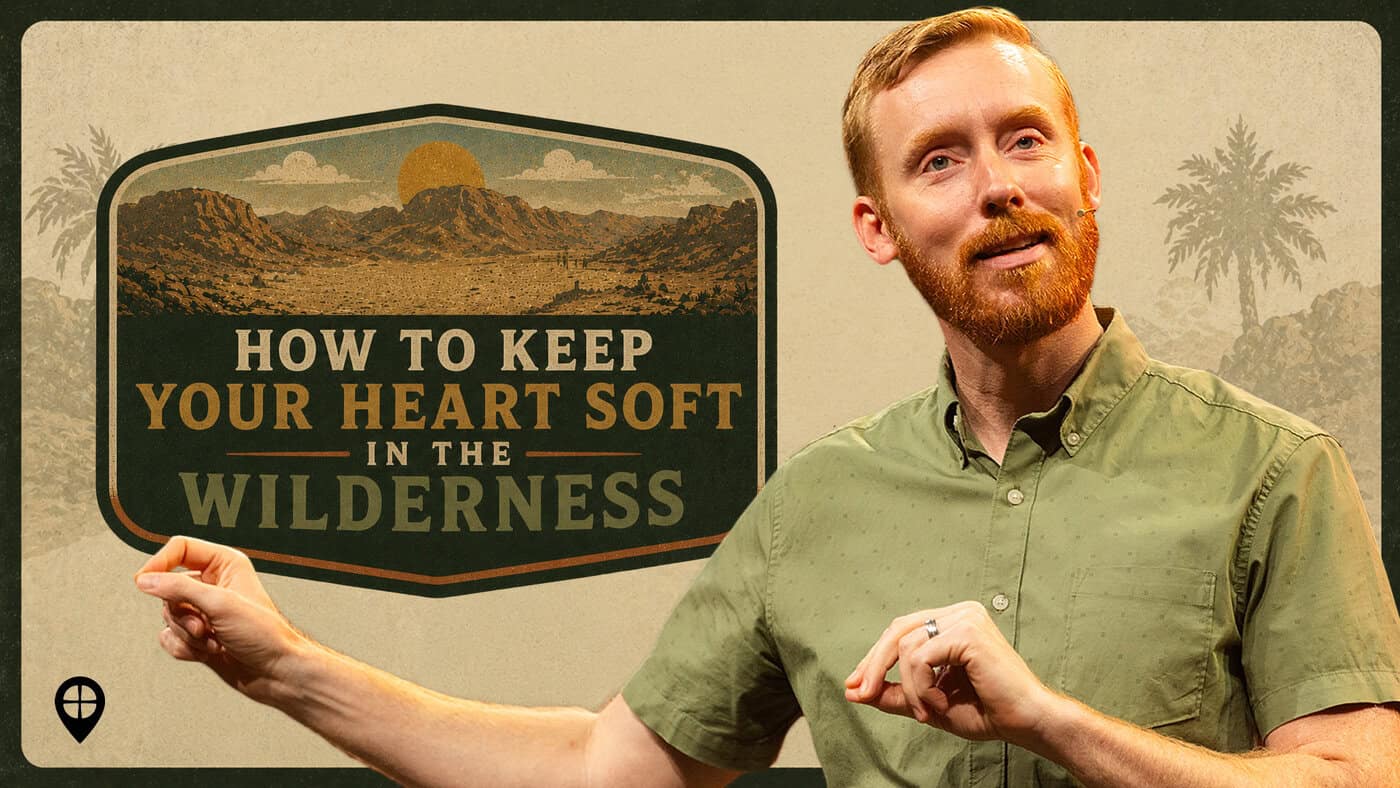 How To Win The Wilderness