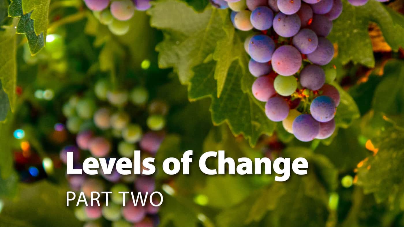Session 6: Levels Of Change Part Two
