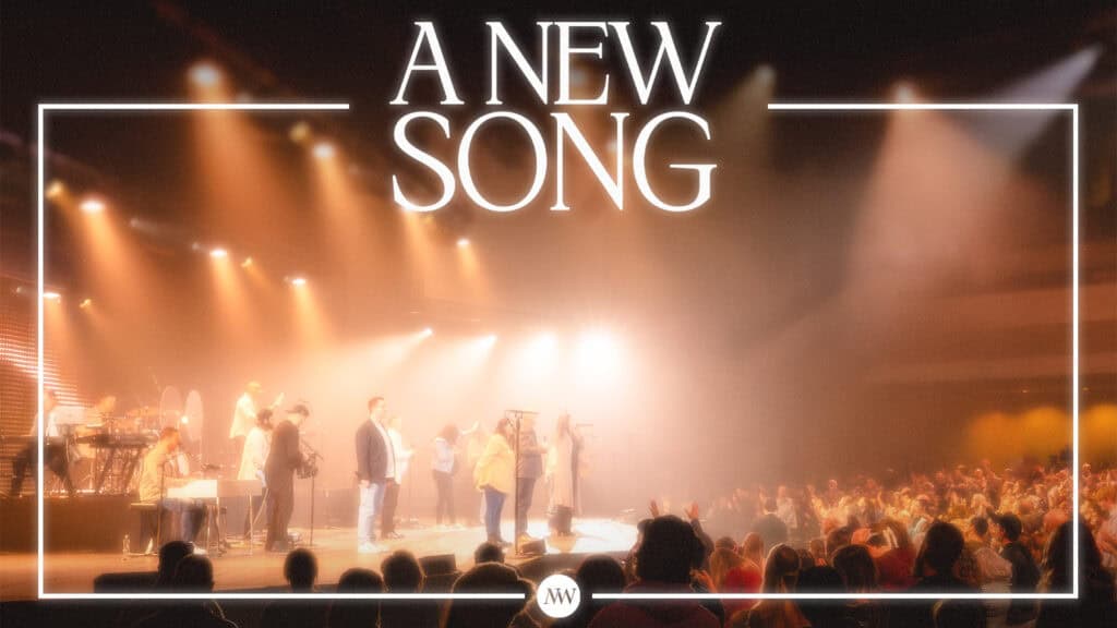 A New Song Album Release