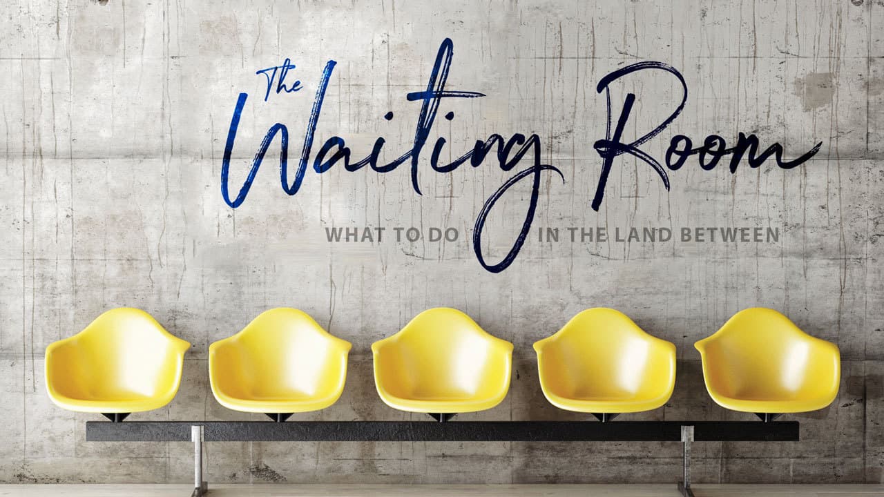 The Waiting Room The Waiting Room