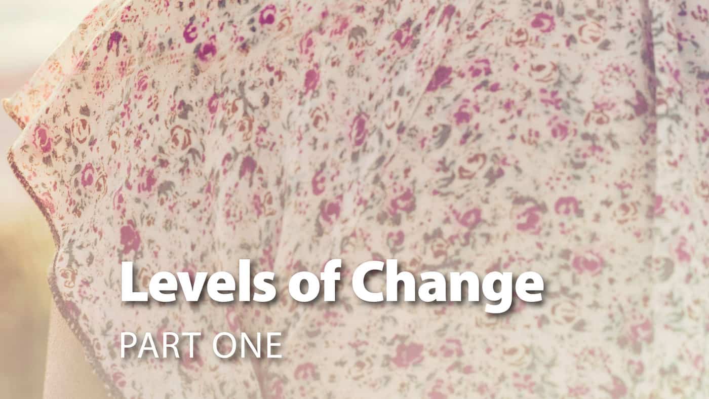 Session 5: Levels Of Change Part One