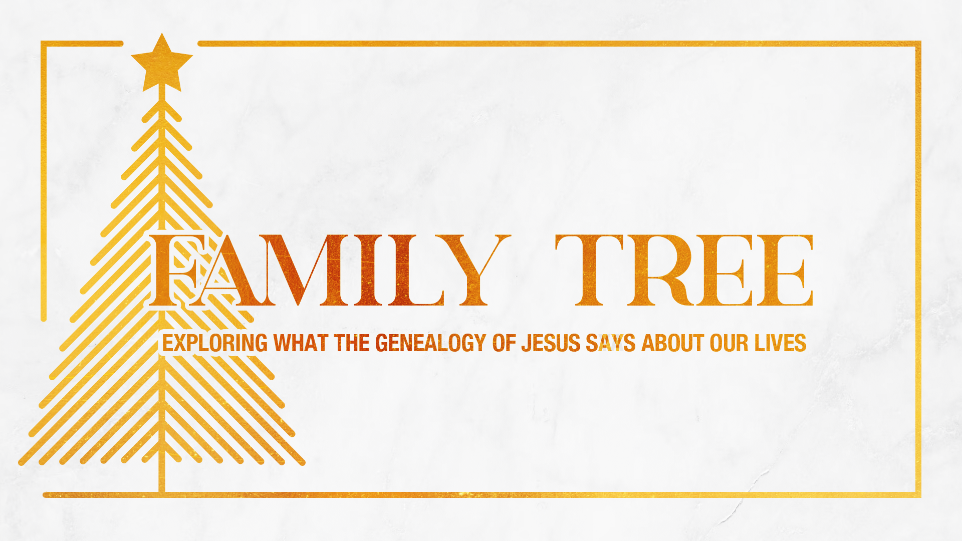 Family Tree: Exploring What the Genealogy of Jesus Says About Our Lives